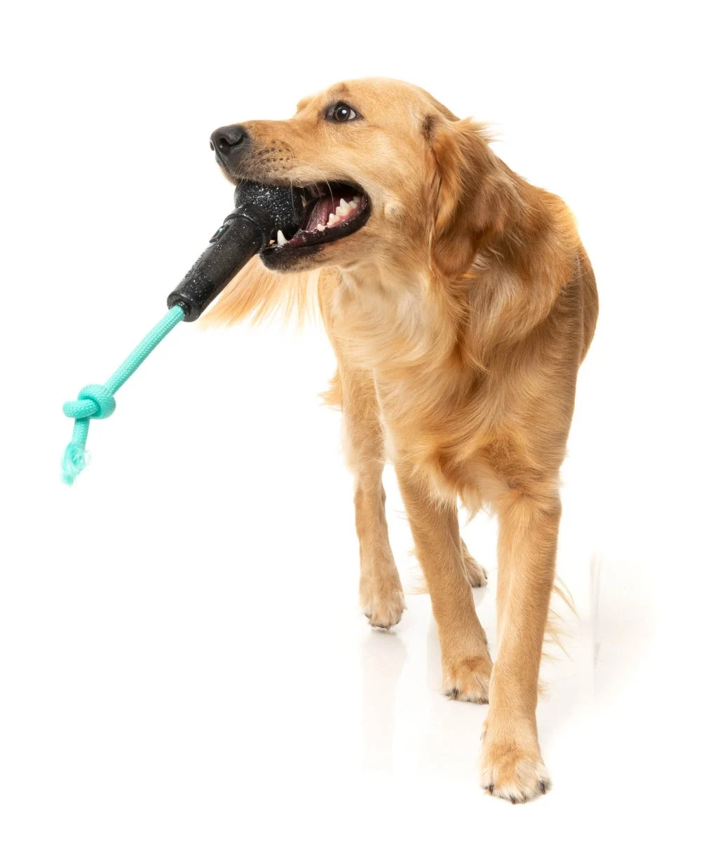 Mic Drop - Interactive Chew Toy