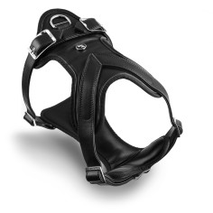 Total Black Hermitage H-Harness in Genuine Leather