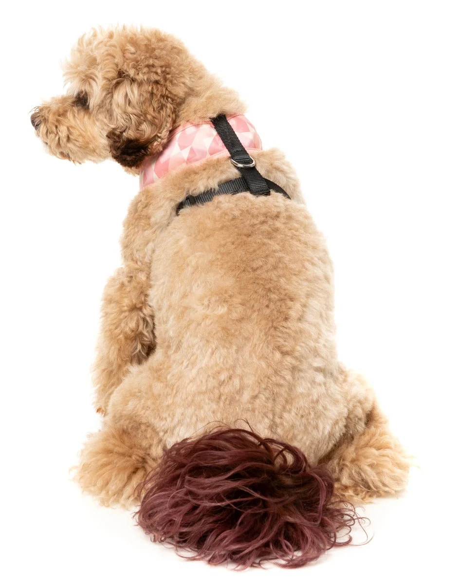 Pink Lemonade - Dog Harness