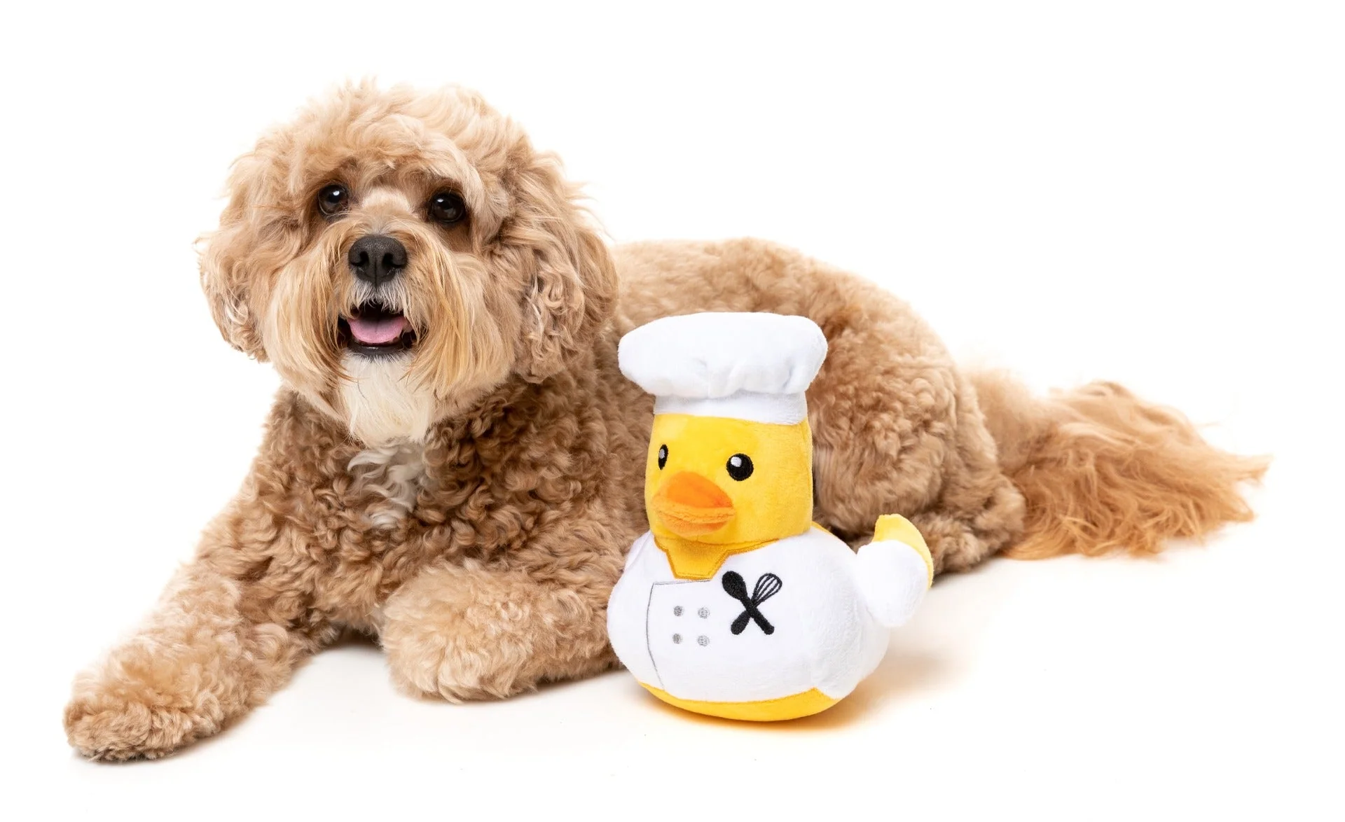 Gordon Quacksay - Dog Toy