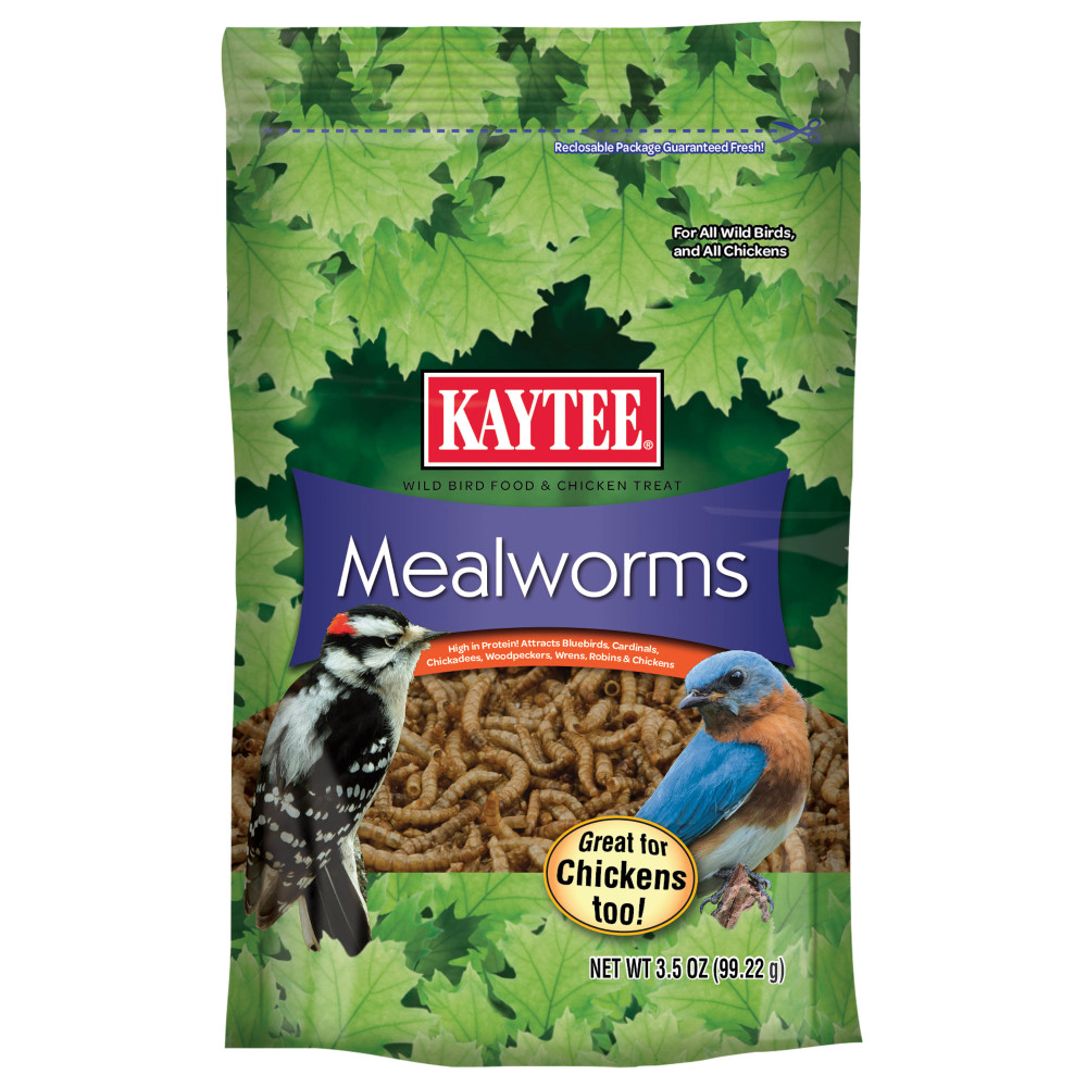 Kaytee Mealworms