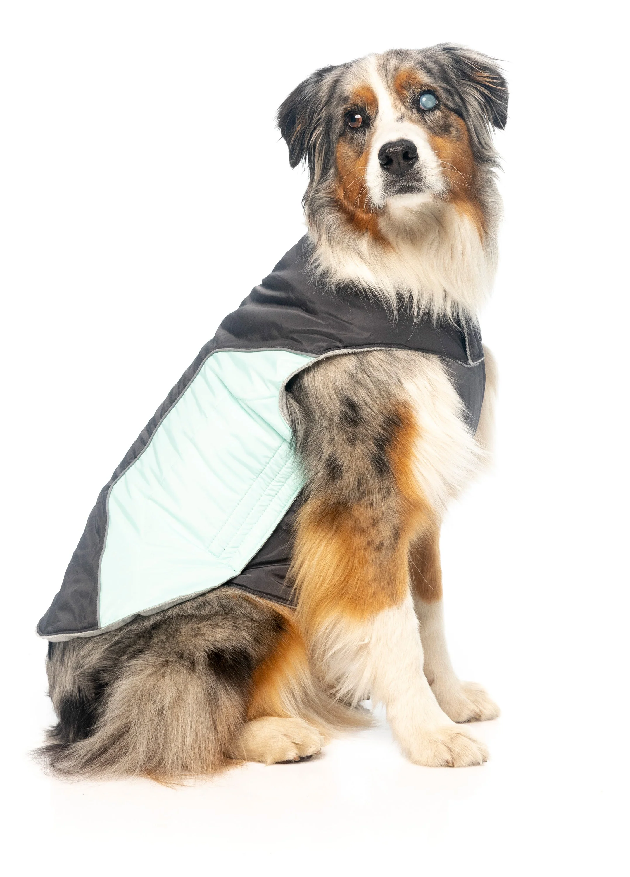 Pac Jacket Charcoal/Mint