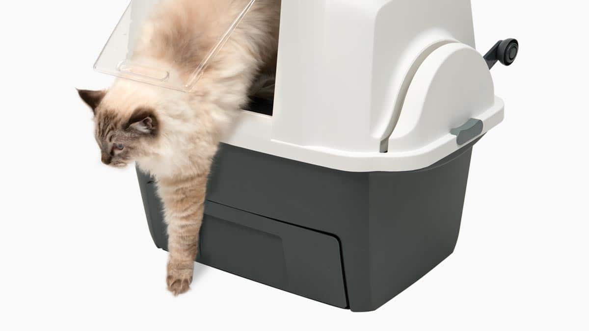 Smartsift litter caja