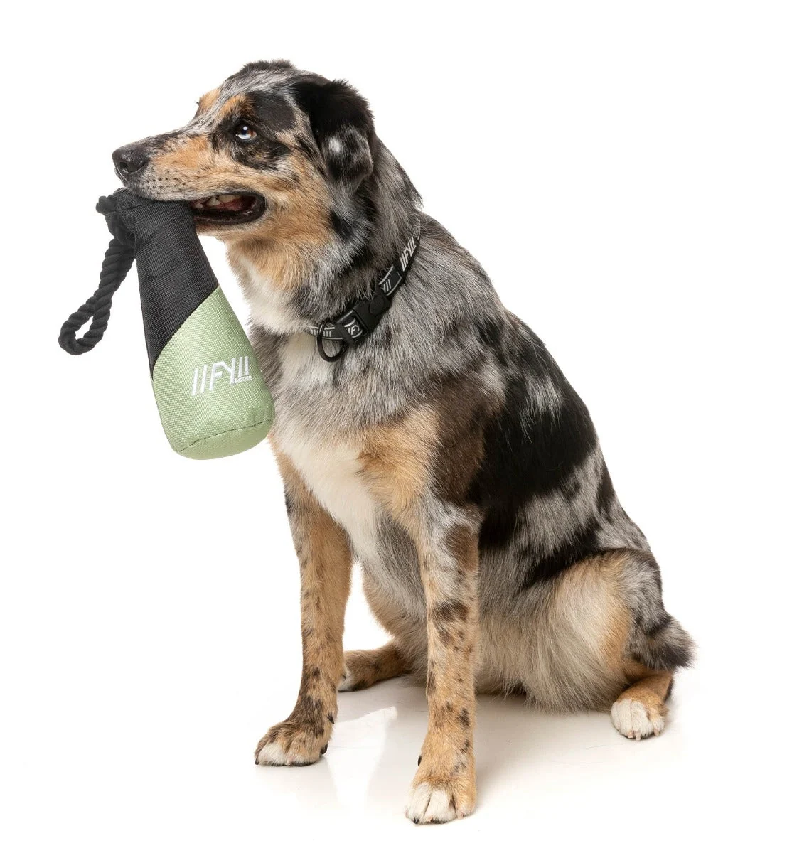 FY Active Fetch N Float Dog Toy - Khaki