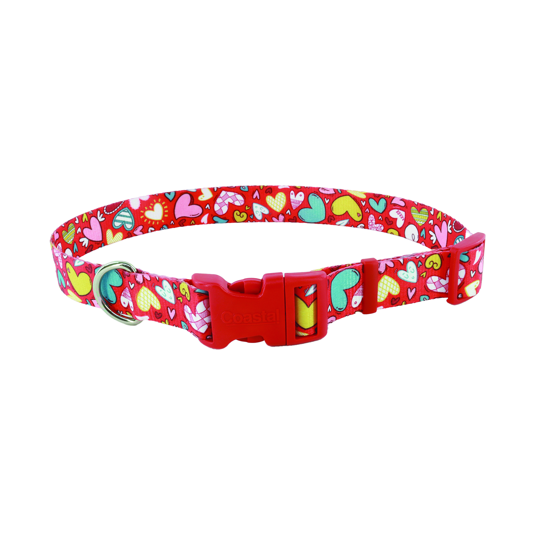 Pets in the Classroom Styles Adjustable Dog Collar