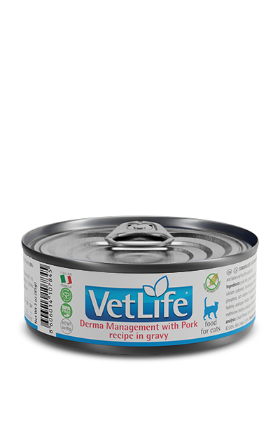 Derma Management with Pork in gravy feline