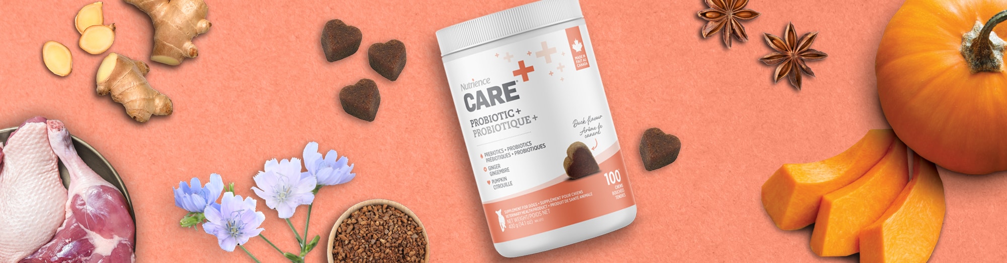 Probiotic Dog Supplement