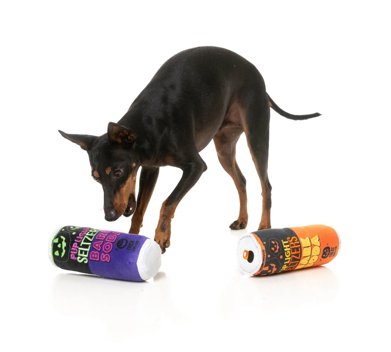 Trick or Treat Seltzers (2pk) - Dog Toy