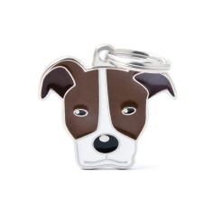 Friends Pitbull ID Tag