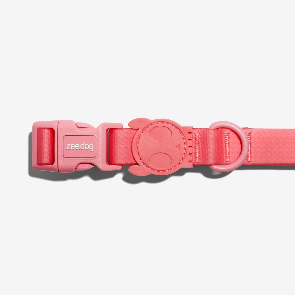 Neopro Bubblegum | Waterproof Collar