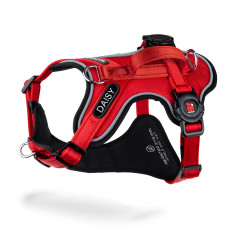 memopet® ID Customizable Red H-Harness