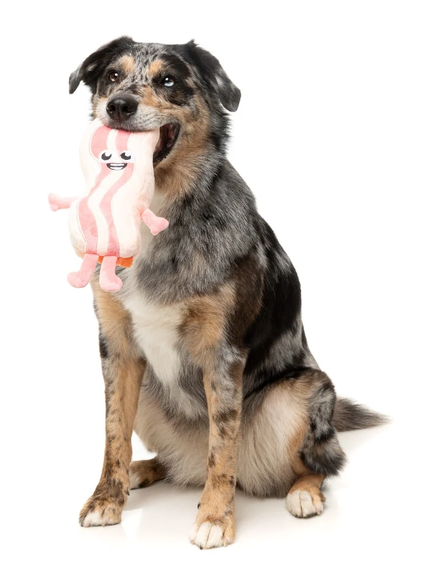 Kevin Bacon-Strip - Dog Toy