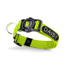 memopet® ID Customizable Green Collar