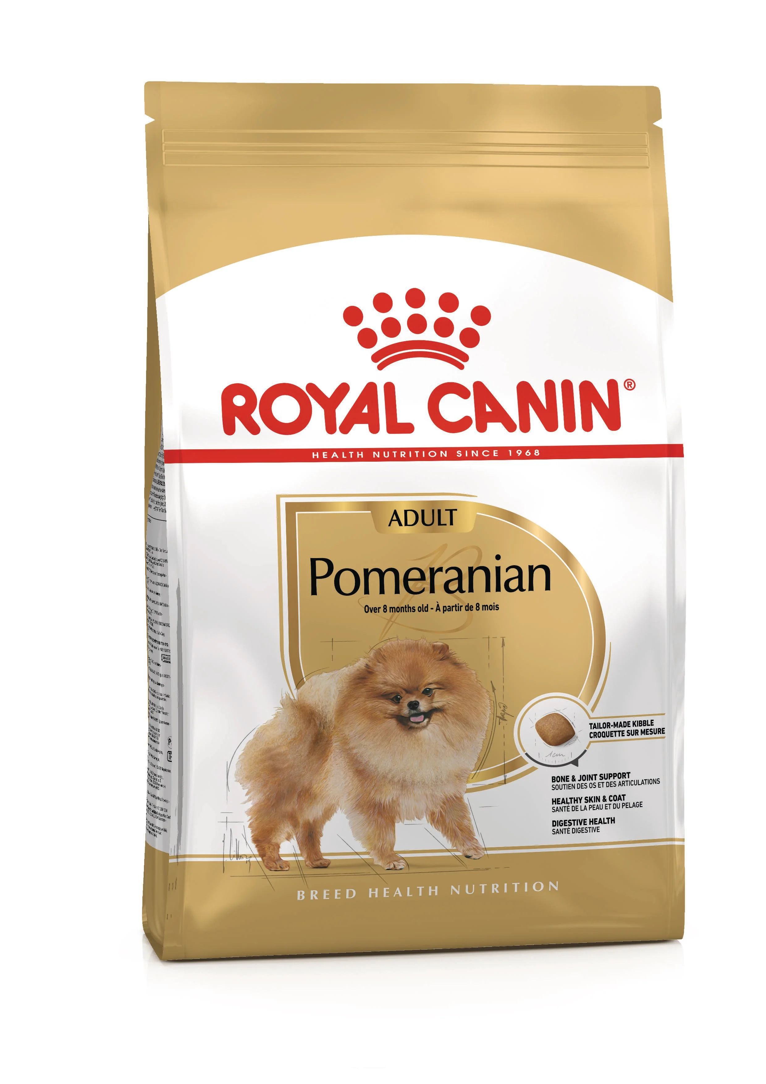 Pomeranian Adulto