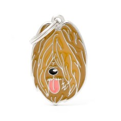 Friends Briard ID Tag