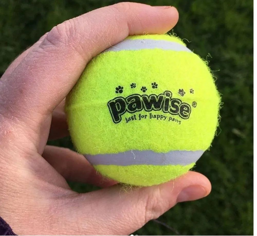 PAQUETE 3X BOLAS DE TENIS MACIAS S/ APITO