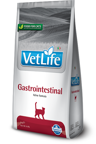 Gastrointestinal feline