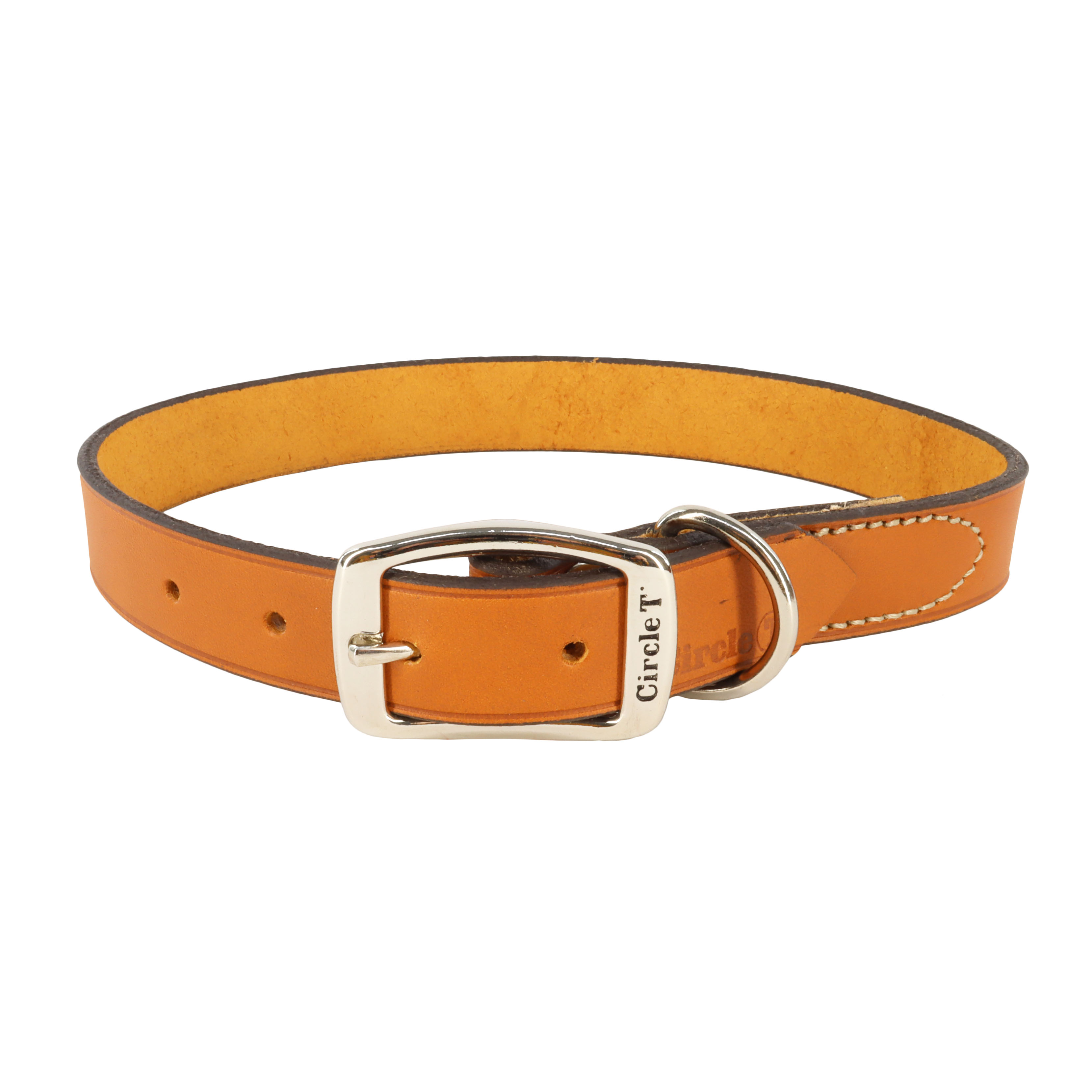 Circle T Oak Tanned Leather Town Dog Collar