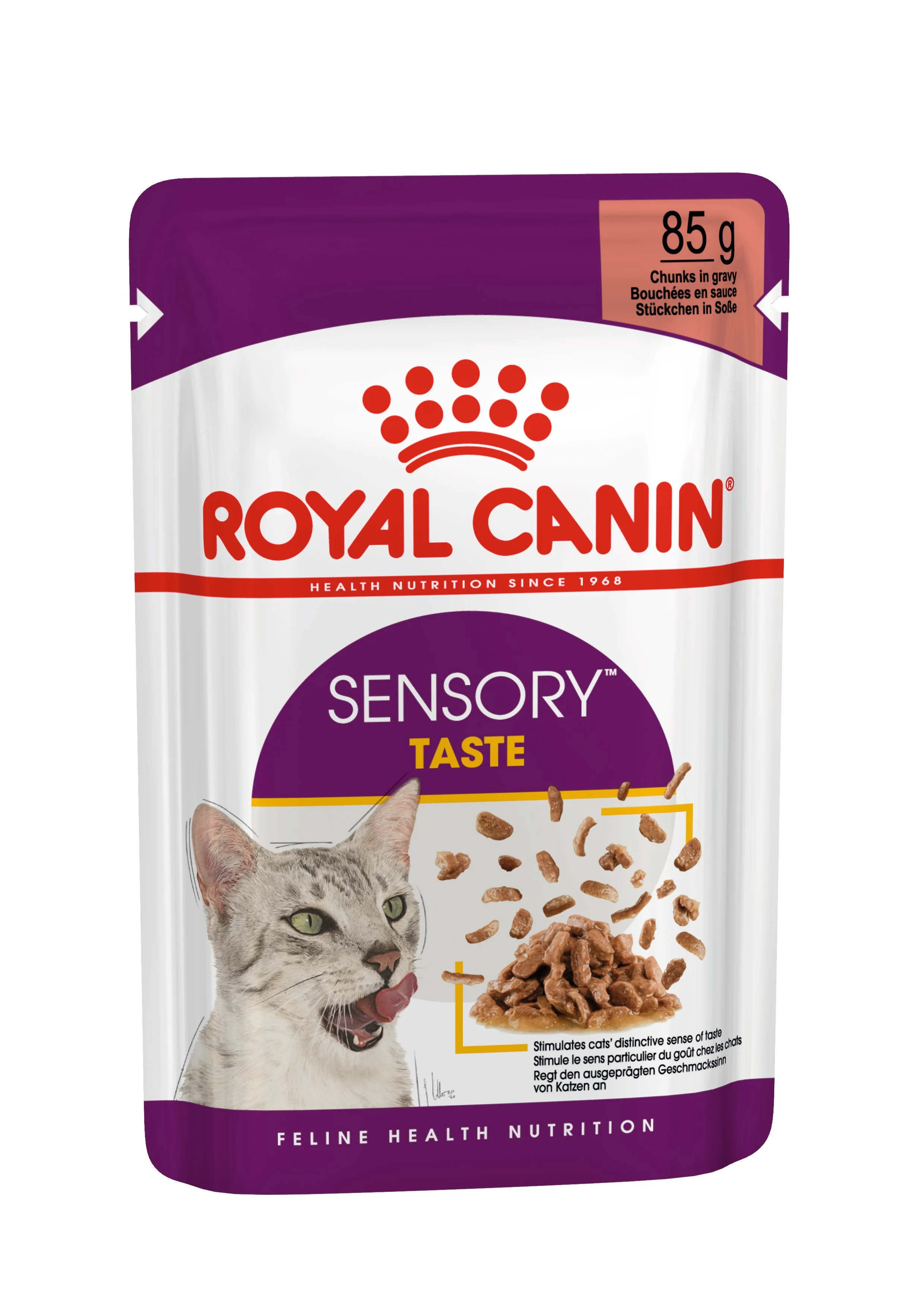 Sensory Taste Alimento Húmedo