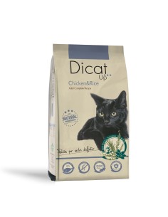 Dicat Up Adulto Pollo y Arroz