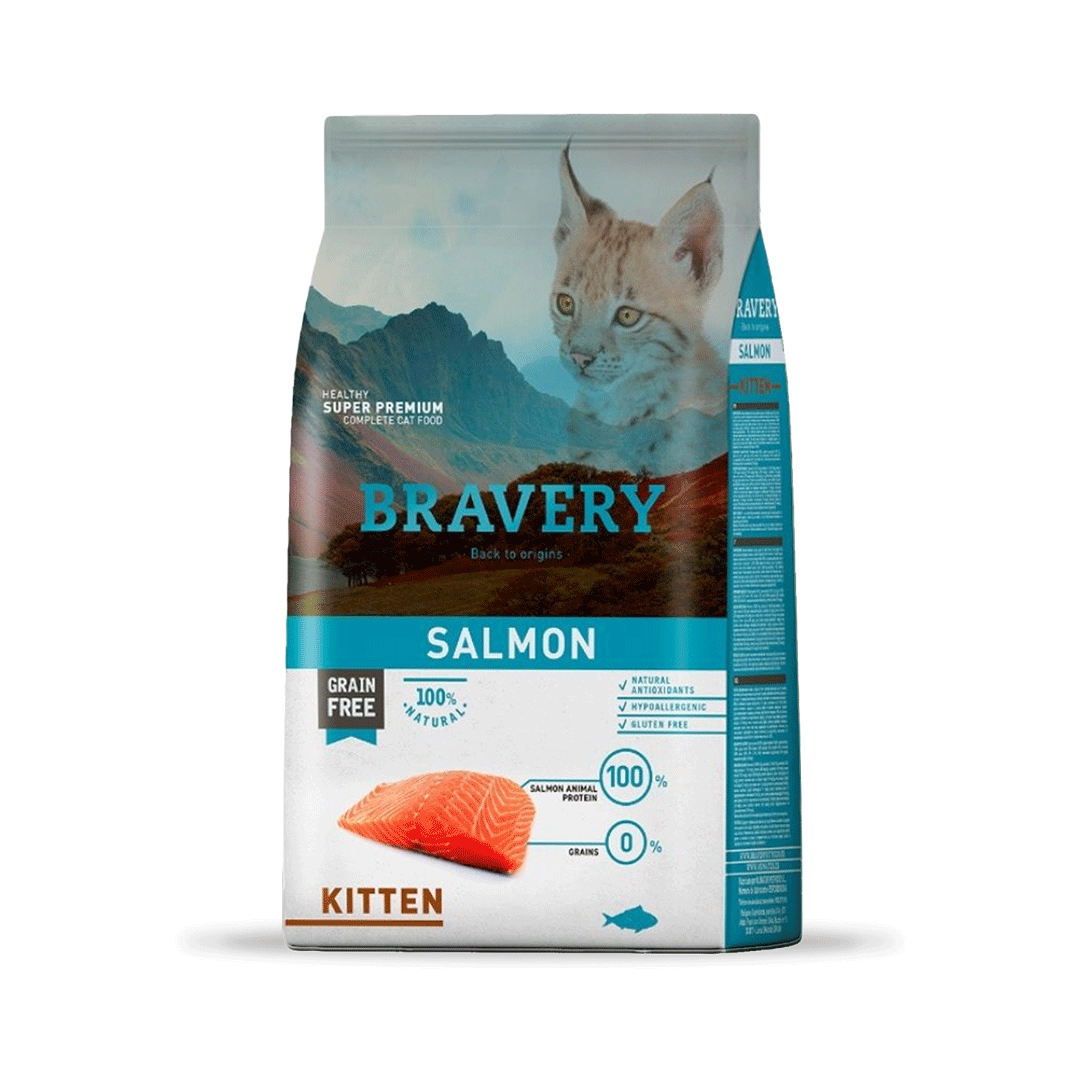 Salmon Kitten