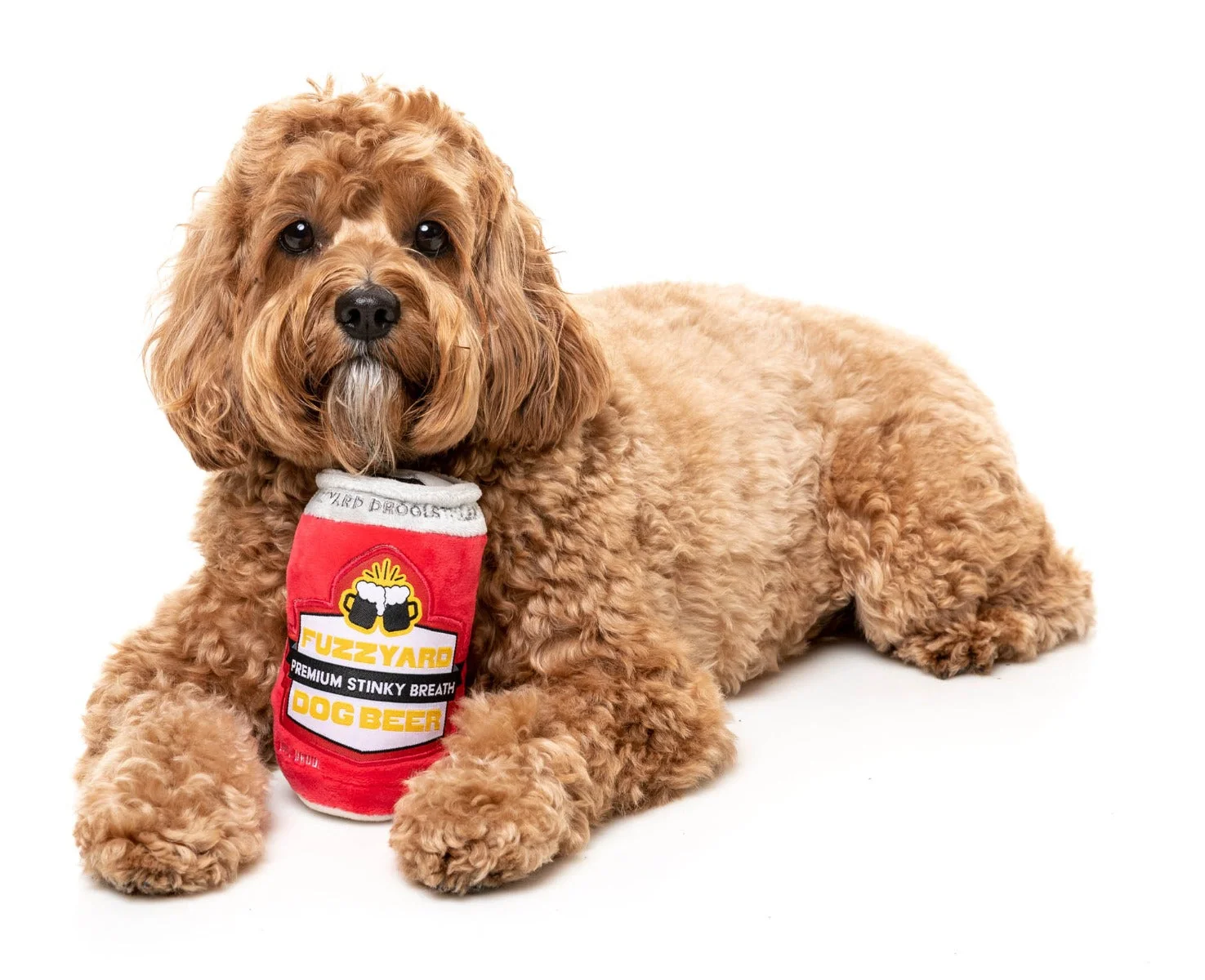 FuzzYard Dog Beer - Dog Toy
