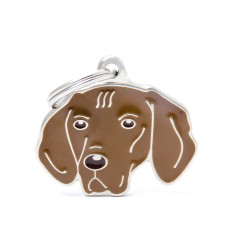 Friends Vizsla ID Tag
