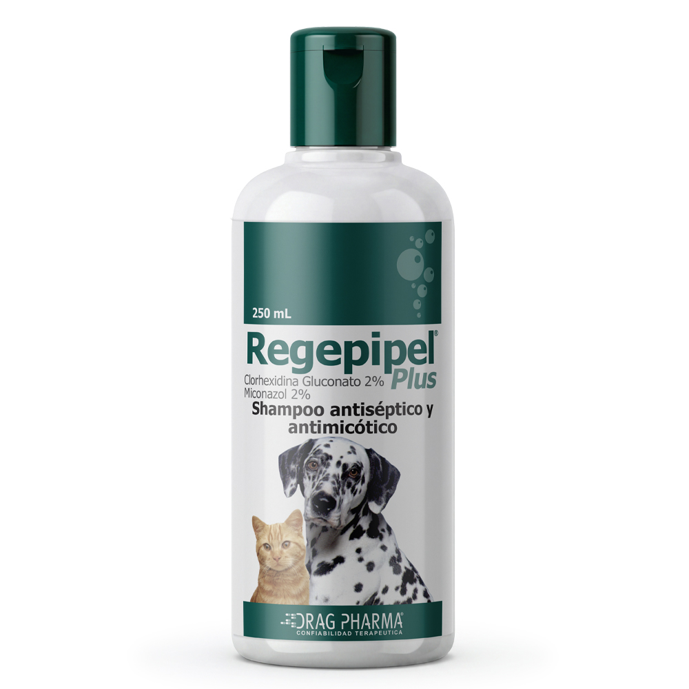 Regepipel® Plus