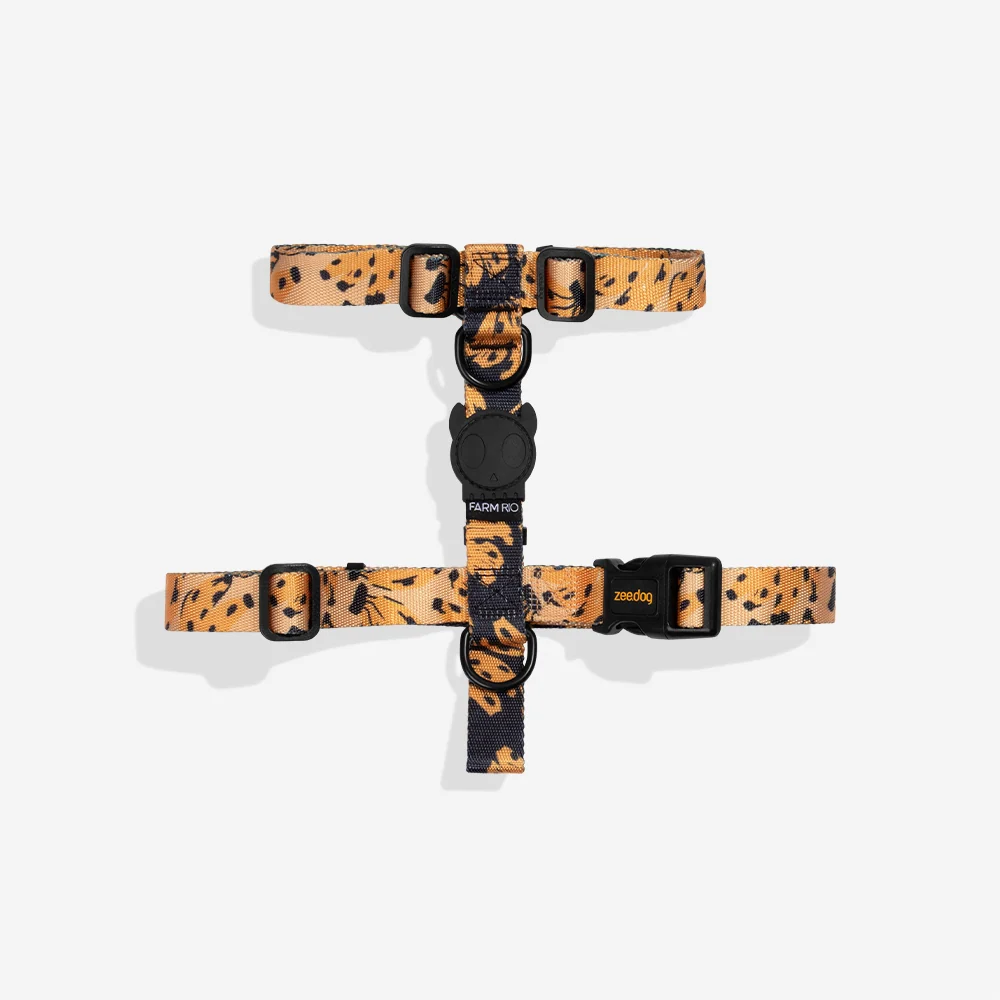 Bossa Banana | H Harness