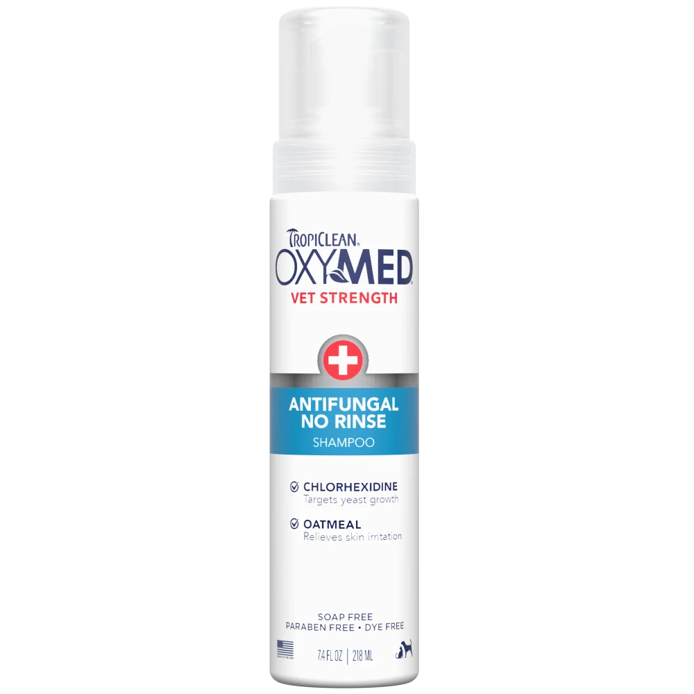 TropiClean OxyMed Antifungal No Rinse Shampoo, 7.4oz