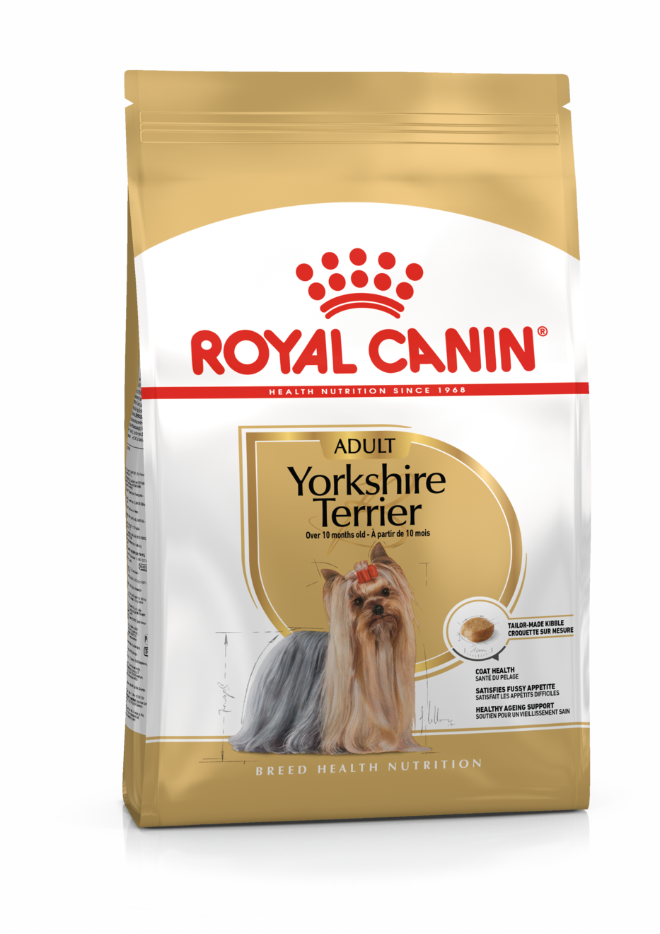 Yorkshire Terrier Adulto