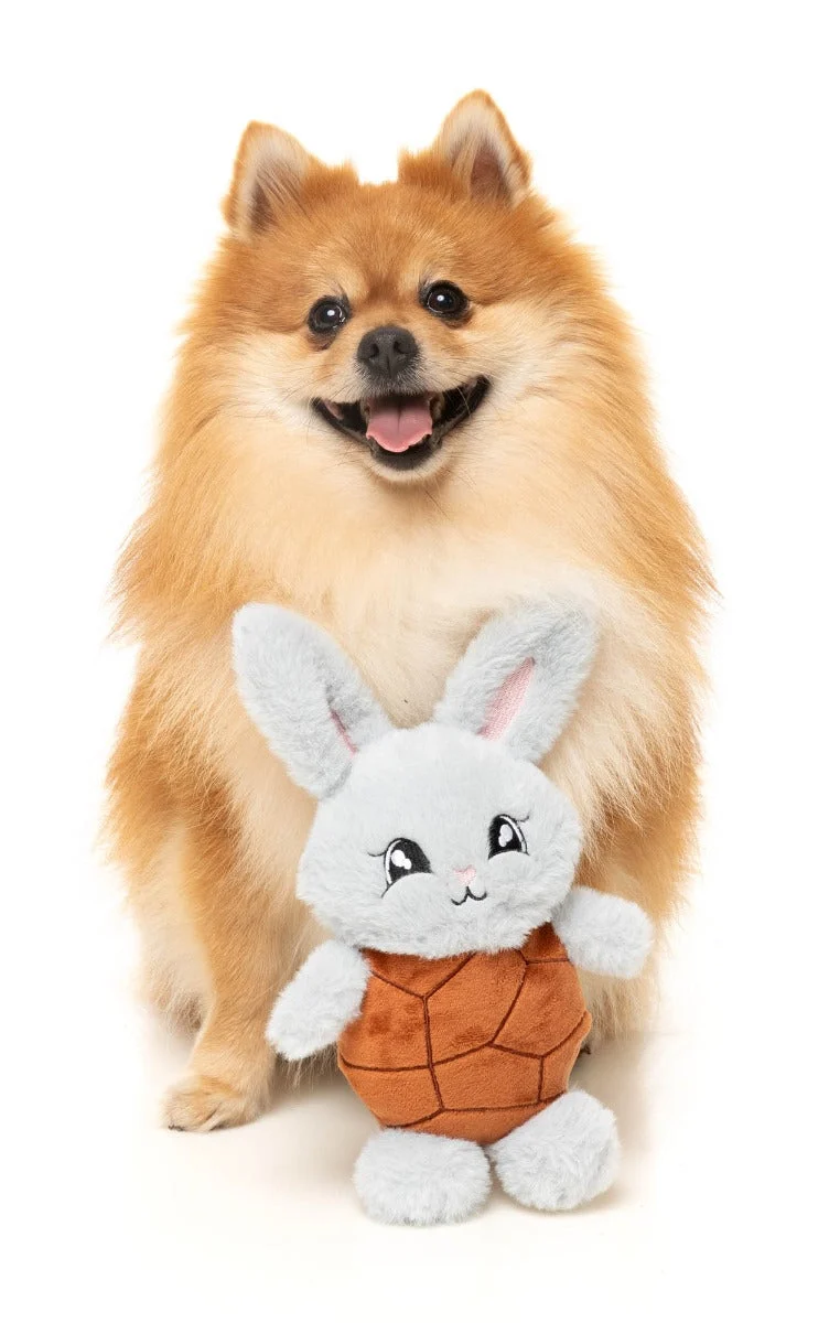 Choc Belly Bunny - Dog Toy