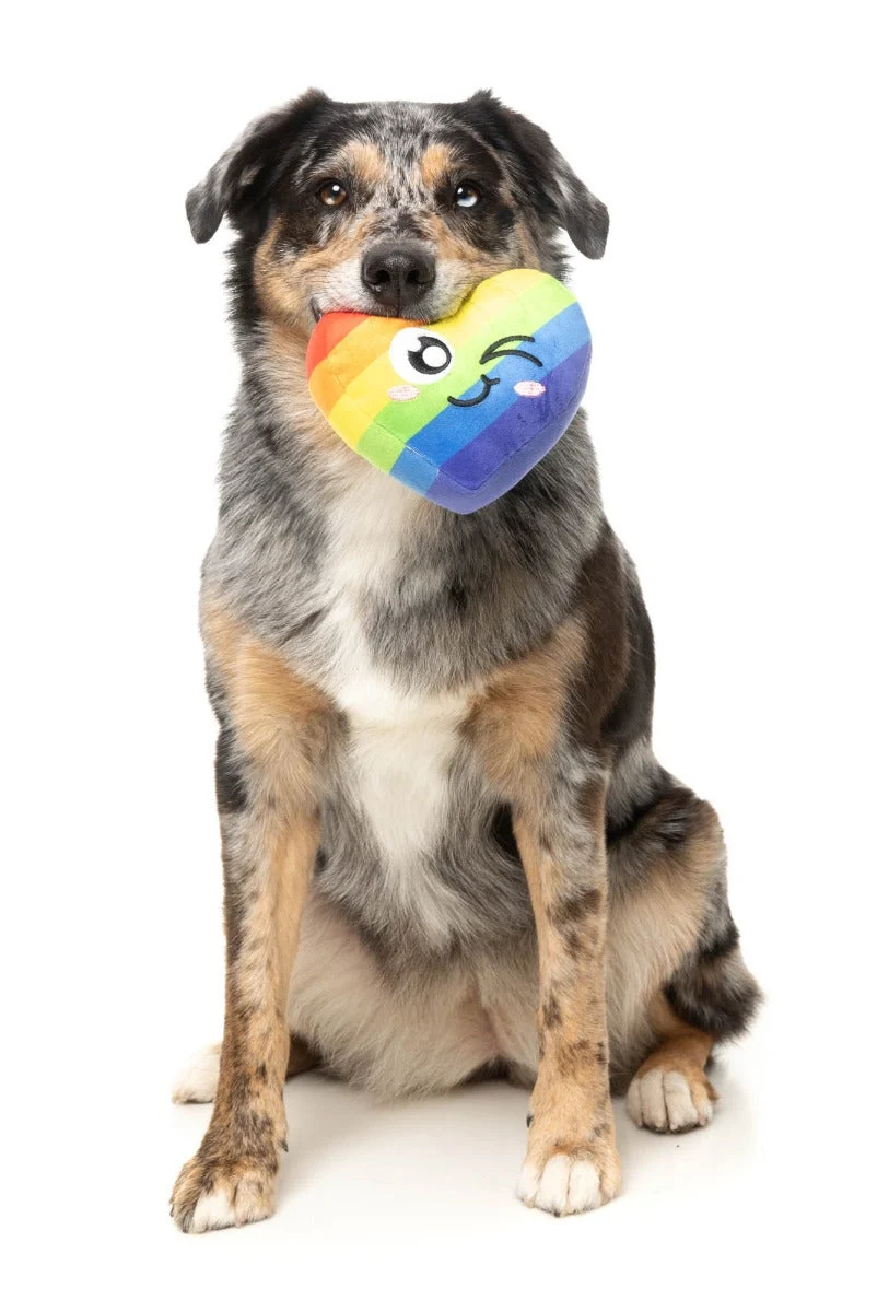 Can't Think Straight - Dog Toy