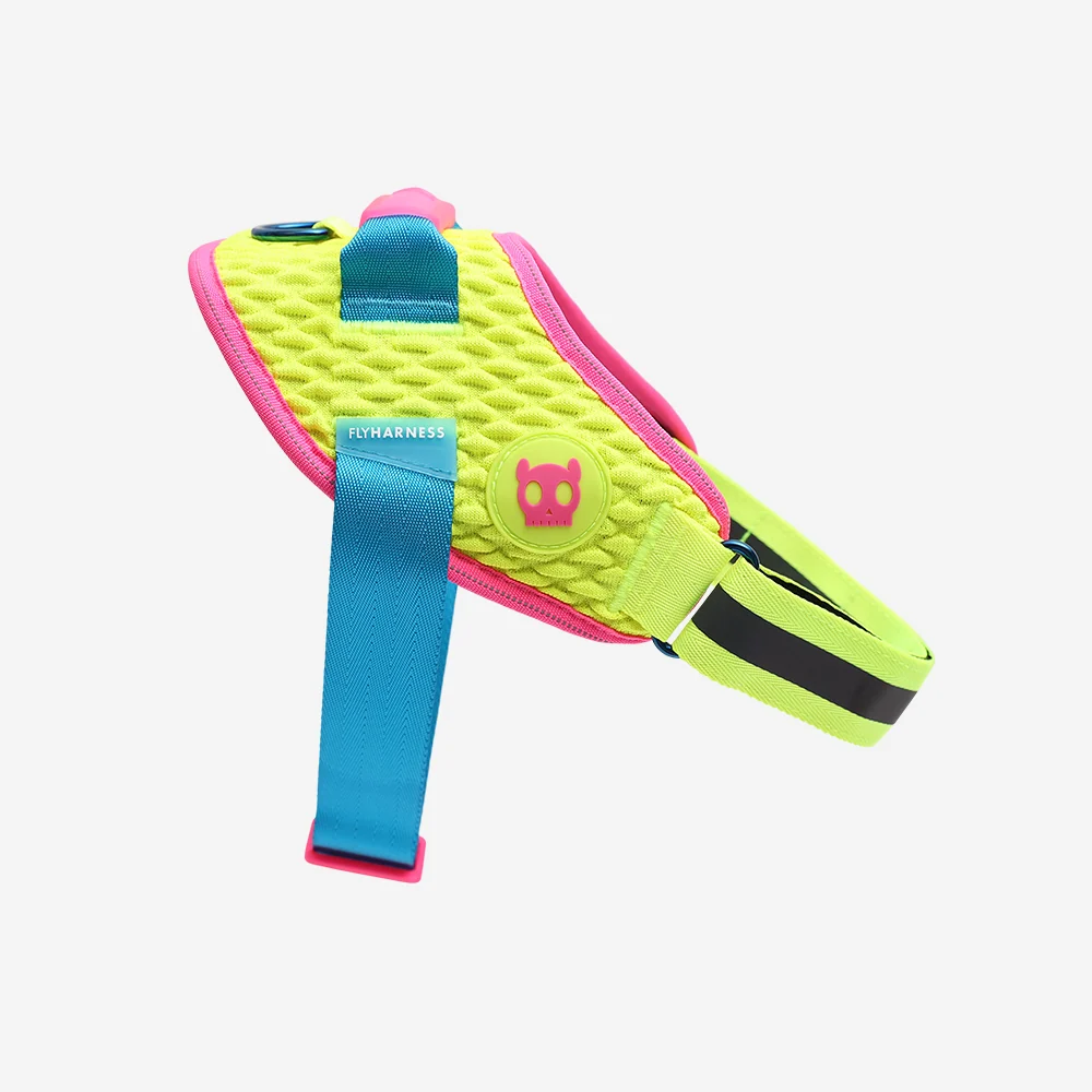 CMYK | FlyHarness