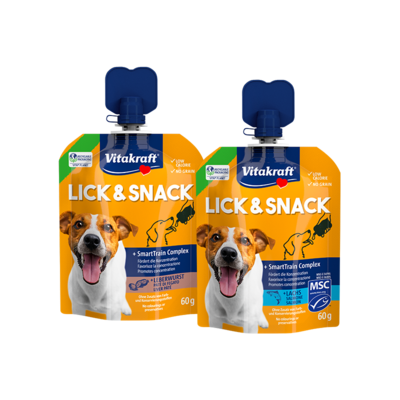 LICK & SNACK