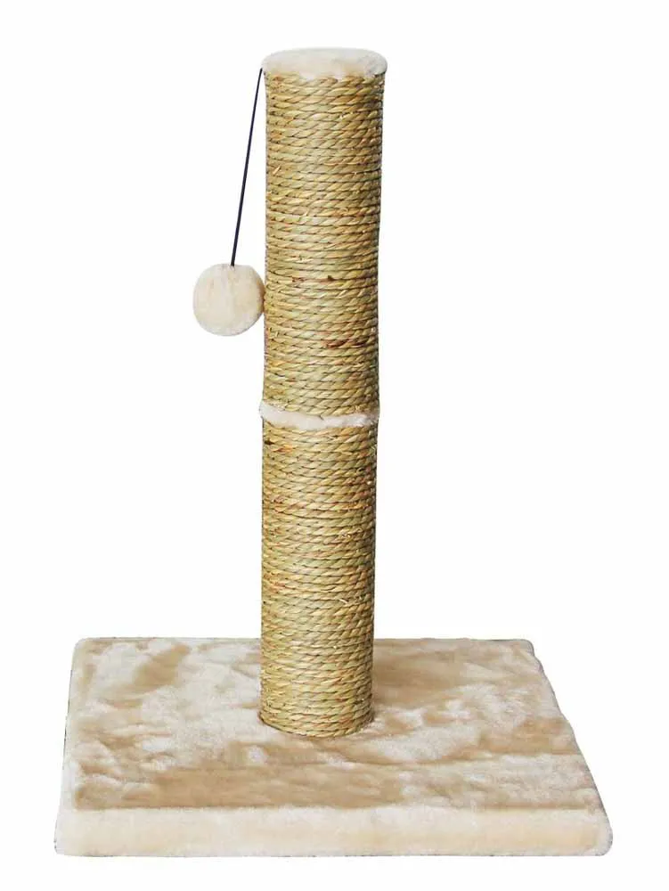 ARRANHADOR PLUTO 30X42