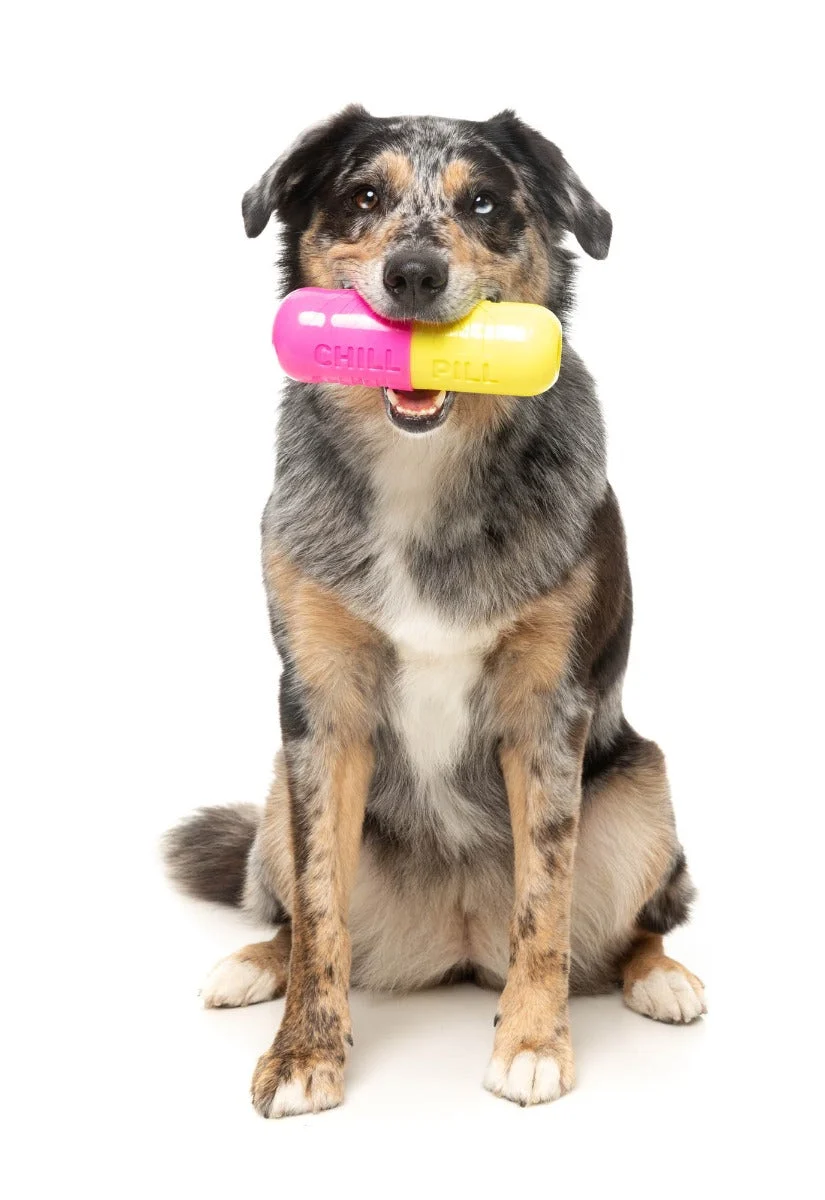 Chill Pill - Interactive Chew Toy
