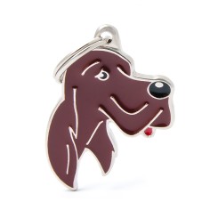 Friends Irish Setter ID Tag