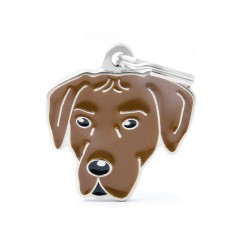 Friends Rhodesian Ridgeback ID Tag