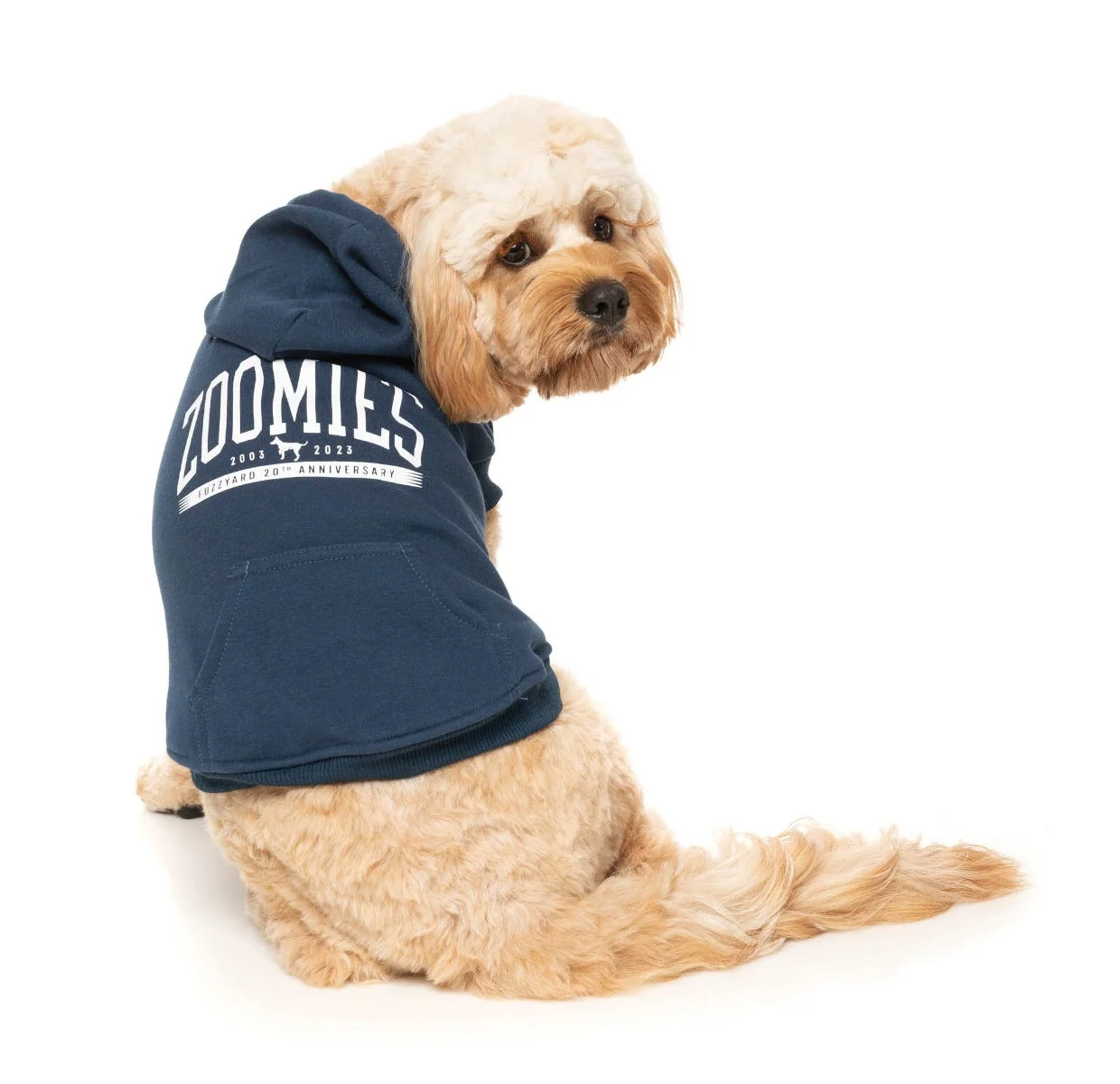 Zoomies Hoodie - Navy