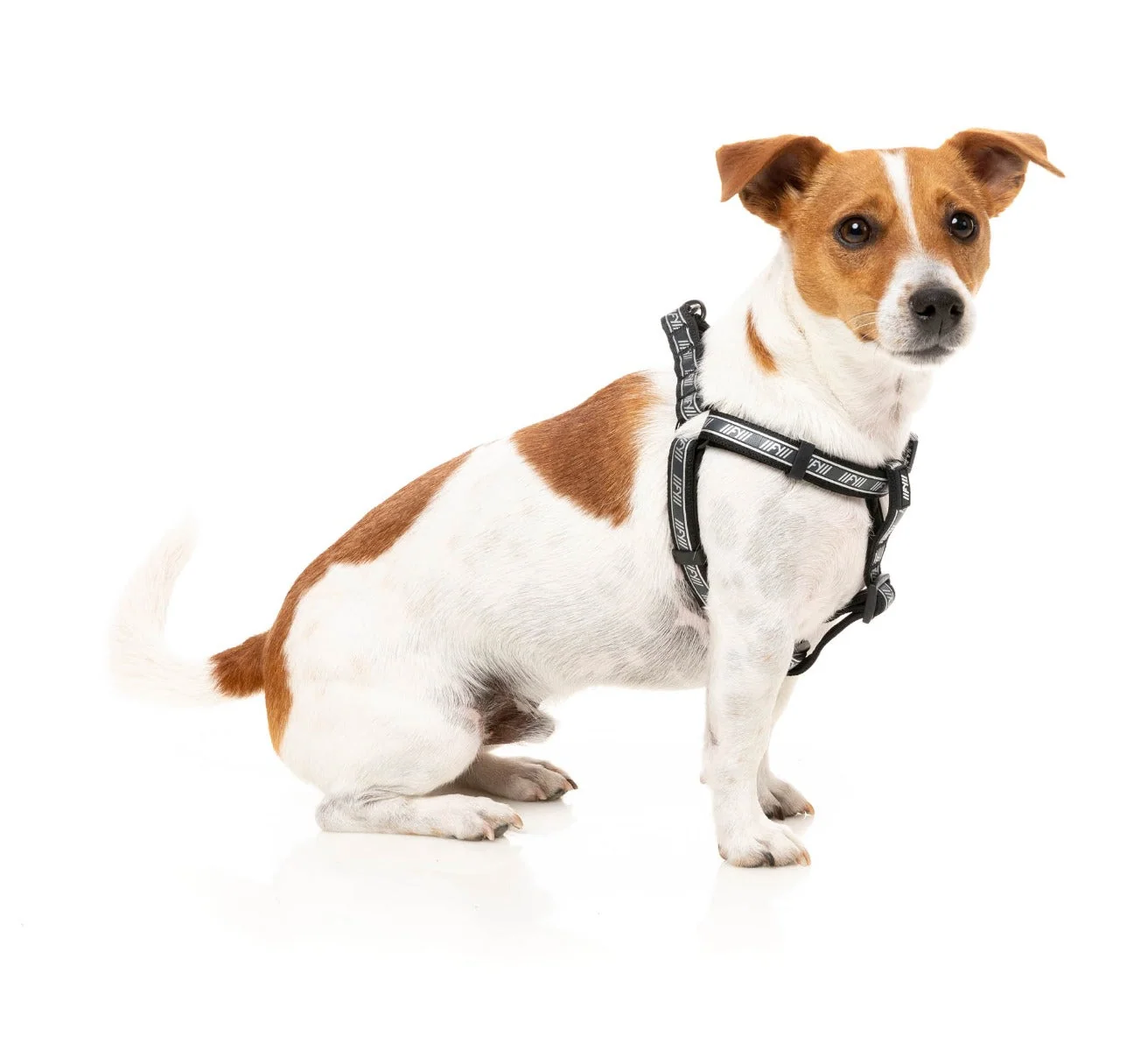 FY Active Strap Harness - Black