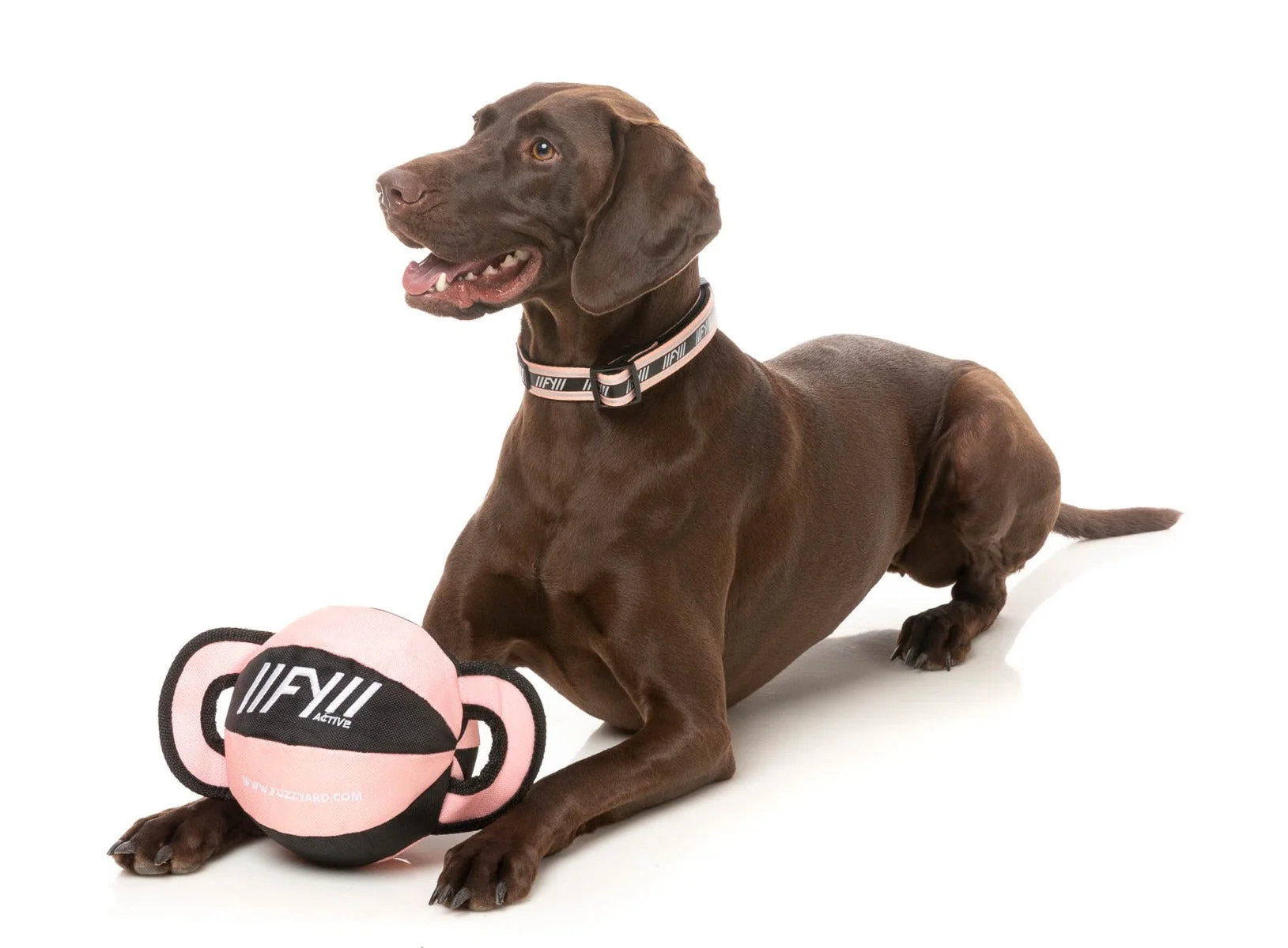 FY Active Ball Tug Dog Toy - Peach