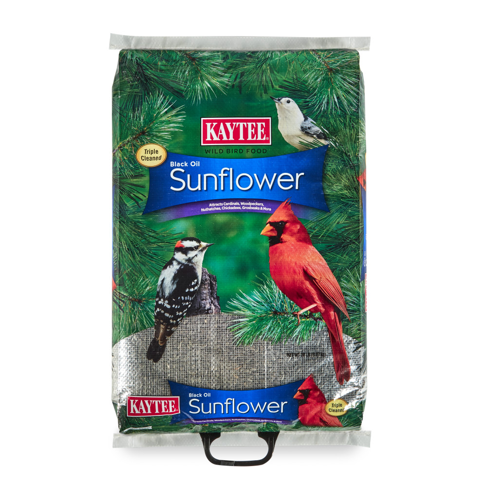 Kaytee Black Oil Sunflower