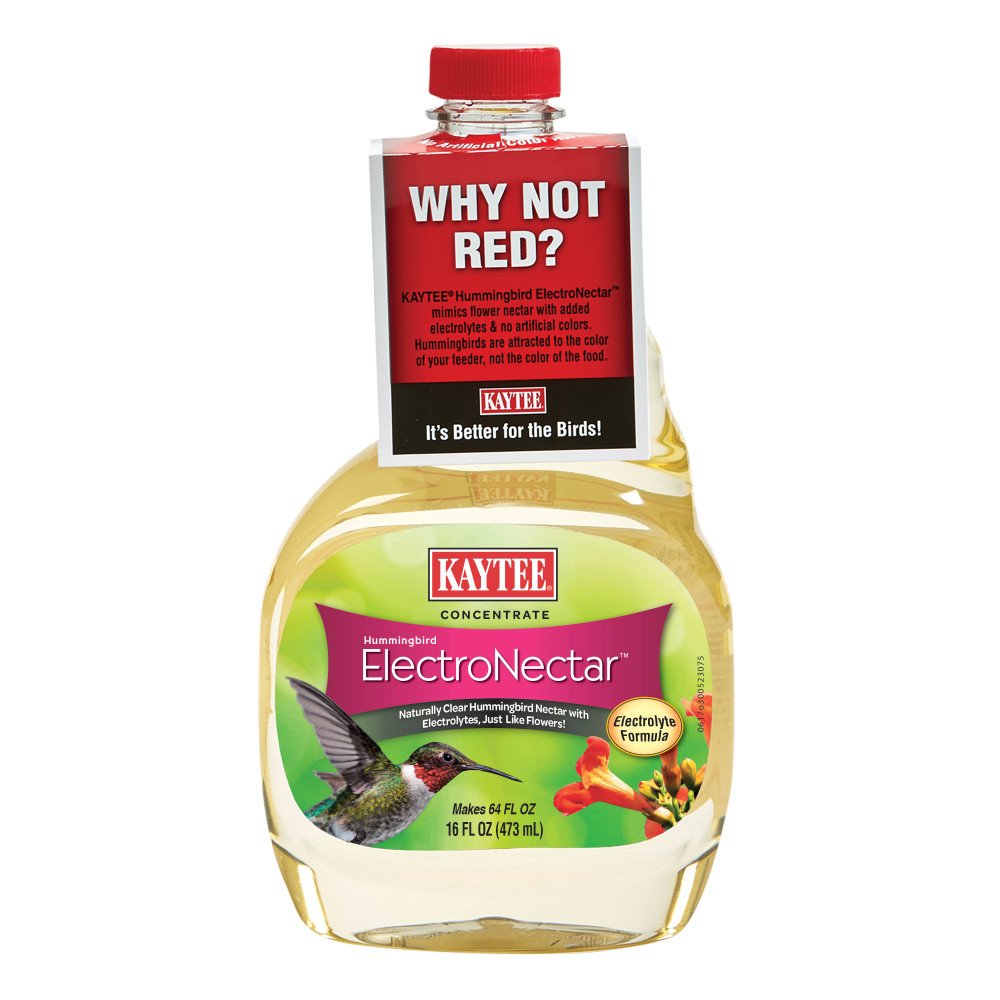 Kaytee Hummingbird ElectroNectar