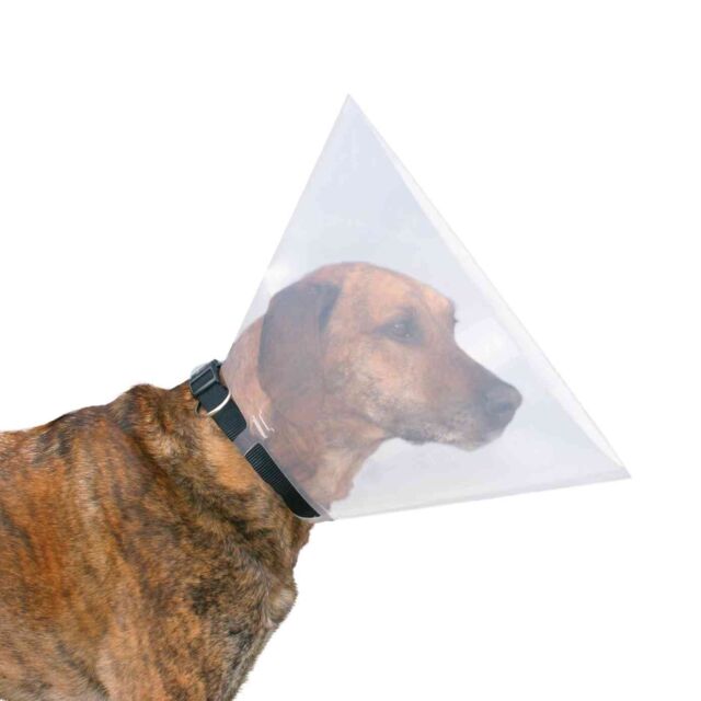 Protective Collar