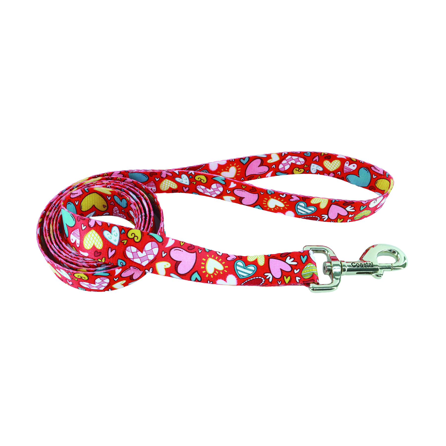 Pets in the Classroom Styles Dog Leash