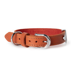 Orange Ginevra Collar in Leather with Chrome Finishes