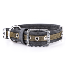 MyFamily London Collar en Fine Crafted Green Leatherette para Perro