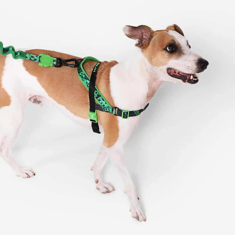 Error #410 | SofterWalk Harness