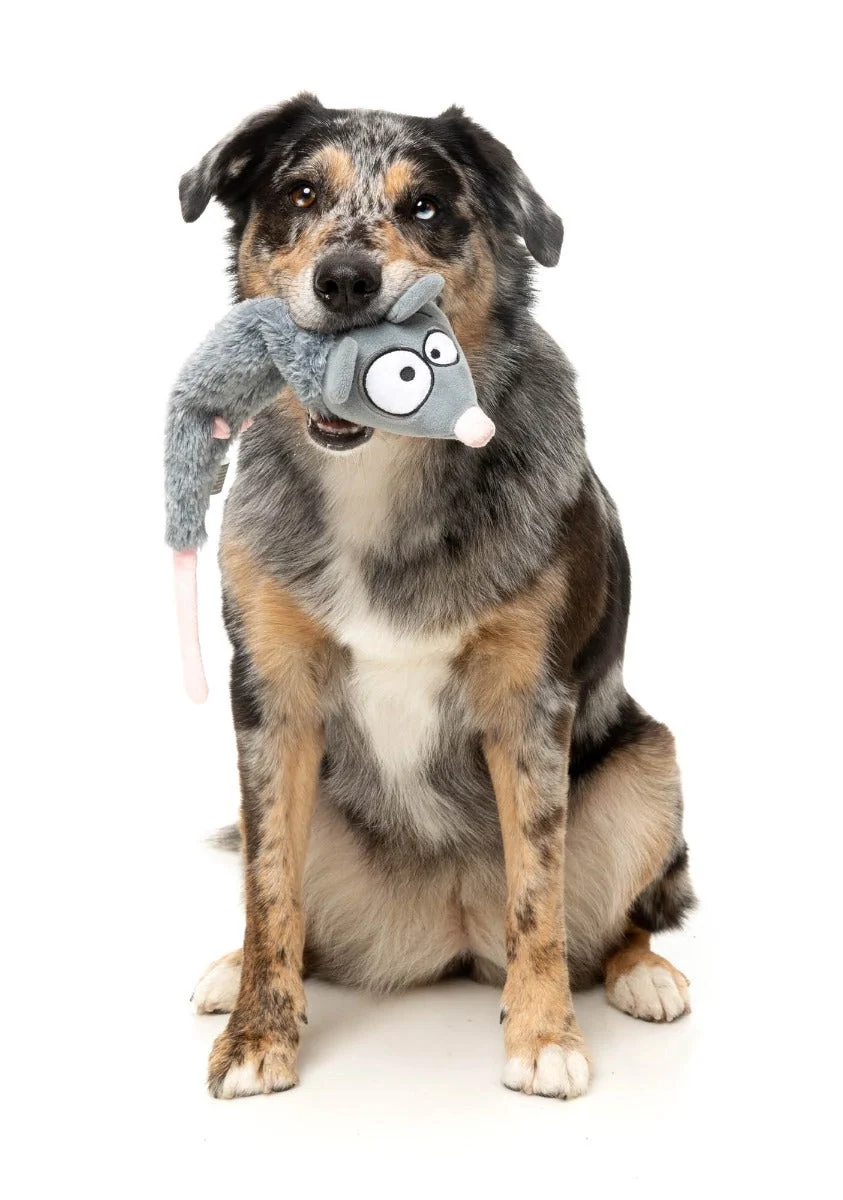 Rack Off Rat - The Yeetz - Dog Toy